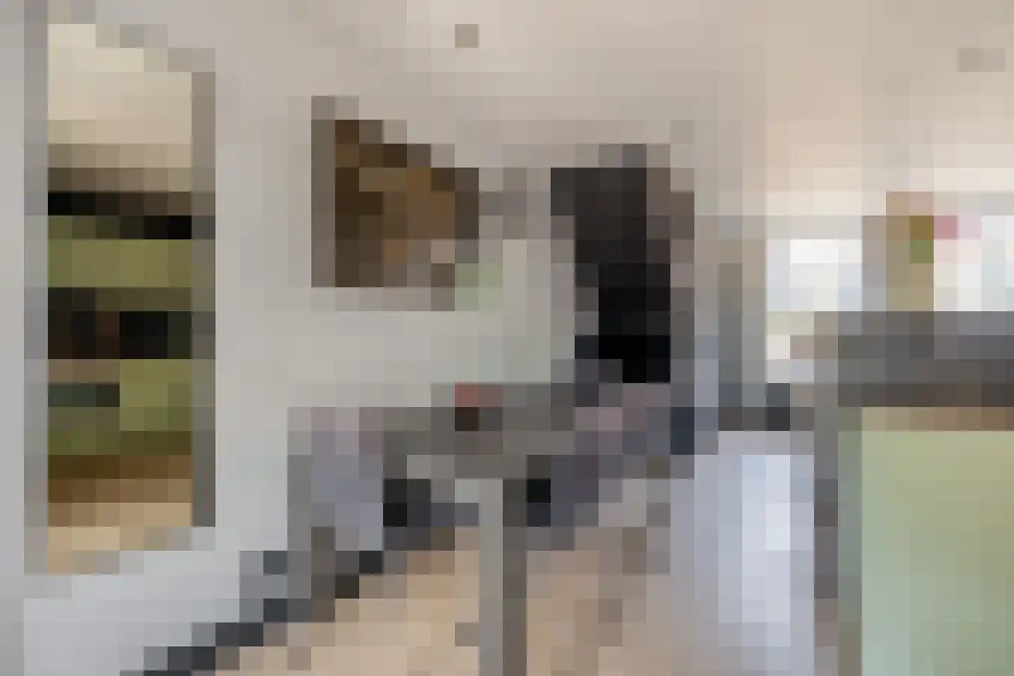 Kaagjesland 33 Reeuwijk thumbnail 9