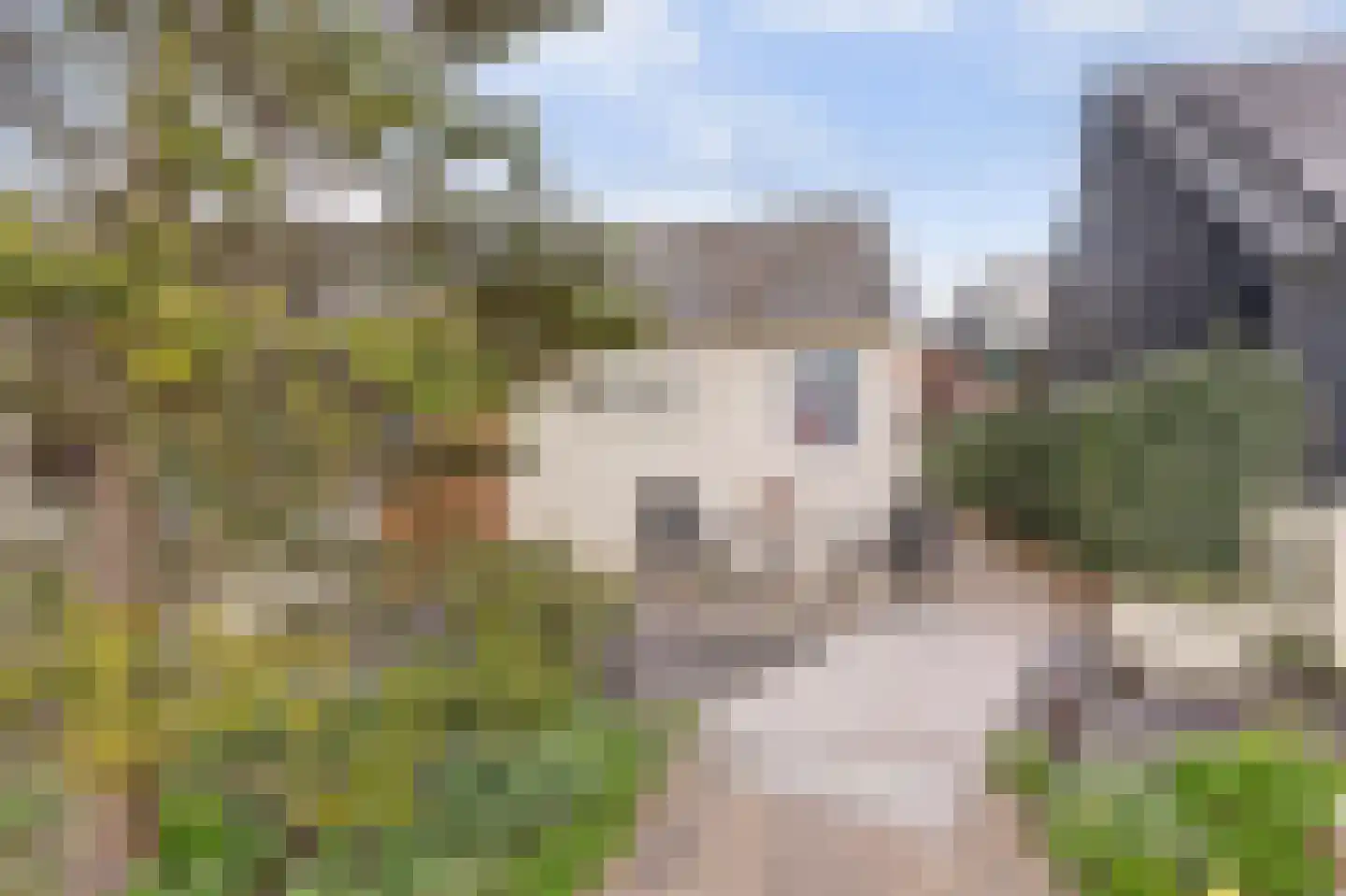 Kaagjesland 37 Reeuwijk thumbnail 29