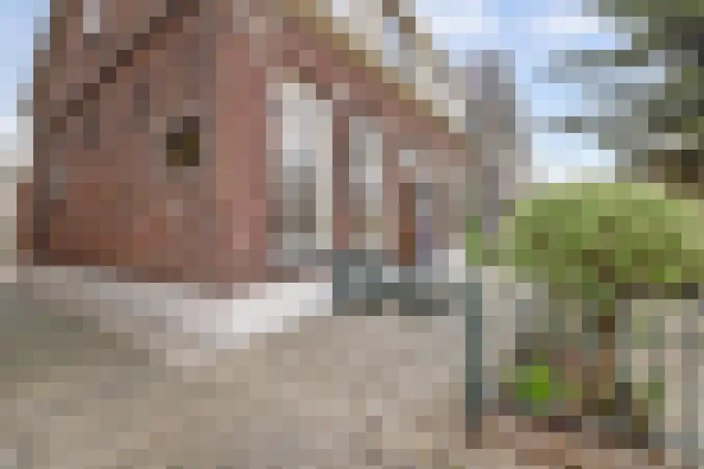 Kaagjesland 37 Reeuwijk thumbnail 4