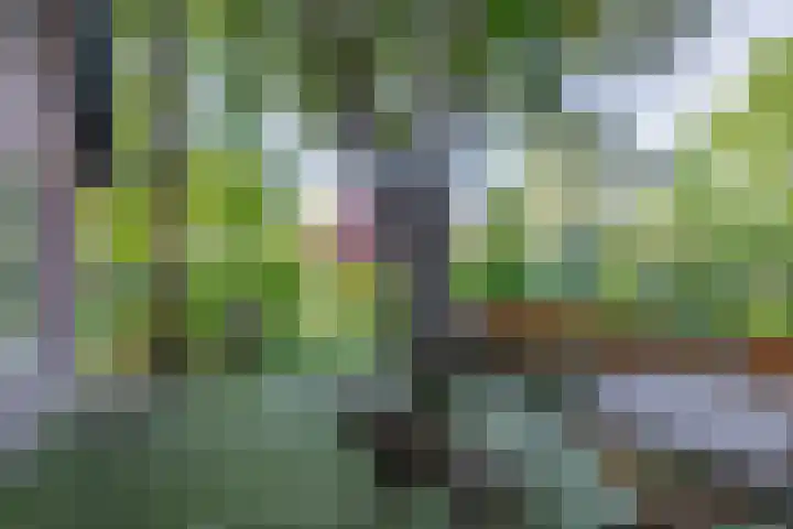 Kaagjesland 45 Reeuwijk thumbnail 25