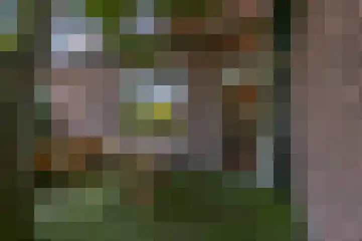 Kaagjesland 45 Reeuwijk thumbnail 26