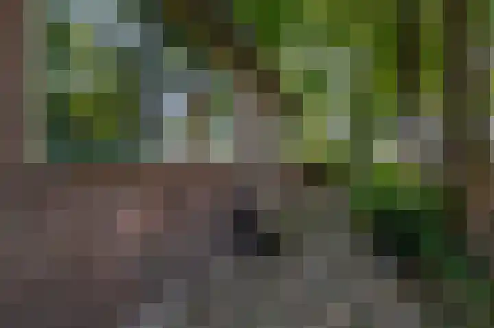 Kaagjesland 45 Reeuwijk thumbnail 27