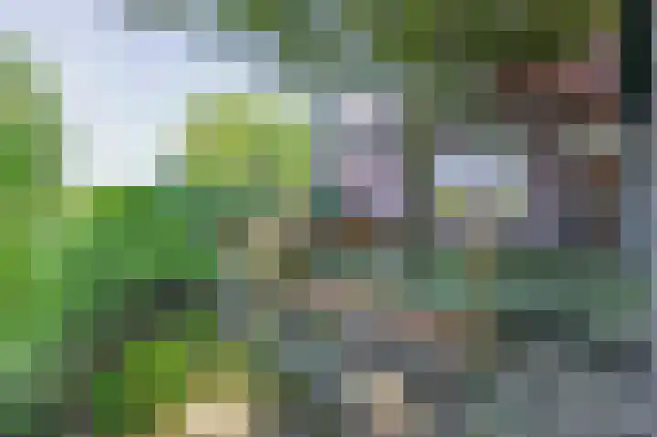 Kaagjesland 45 Reeuwijk thumbnail 28
