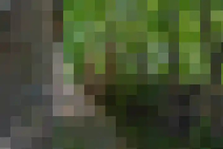 Kaagjesland 45 Reeuwijk thumbnail 29