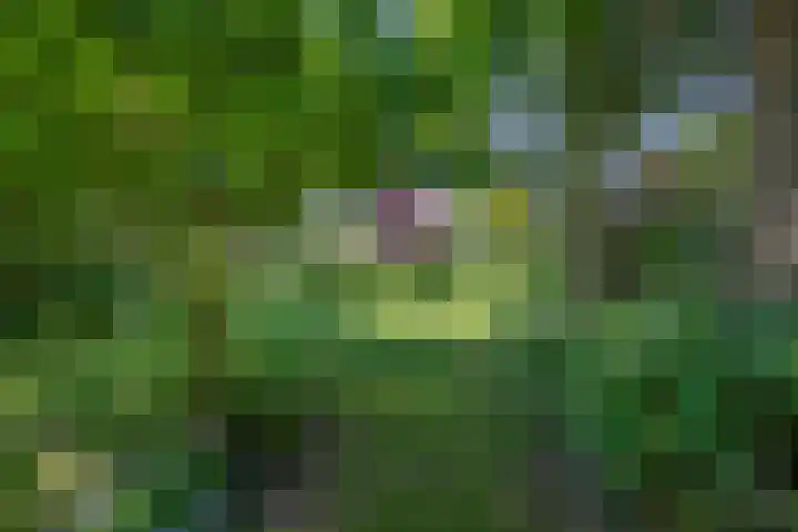 Kaagjesland 45 Reeuwijk thumbnail 30