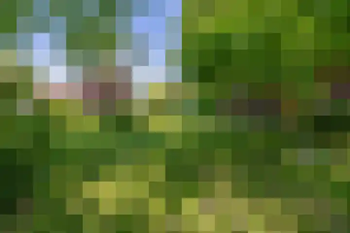 Kaagjesland 45 Reeuwijk thumbnail 31