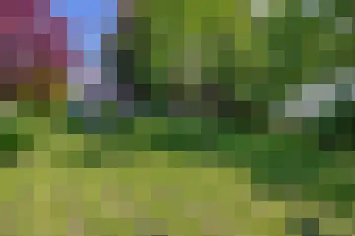 Kaagjesland 45 Reeuwijk thumbnail 32