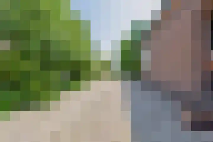 Kaagjesland 45 Reeuwijk thumbnail 33