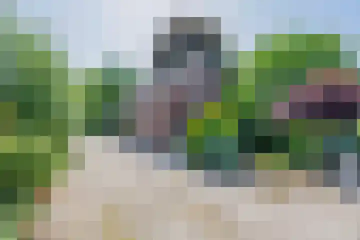 Kaagjesland 45 Reeuwijk thumbnail 34
