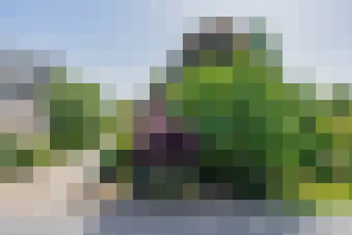 Kaagjesland 45 Reeuwijk thumbnail 35