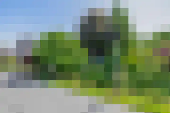 Kaagjesland 45 Reeuwijk thumbnail 36