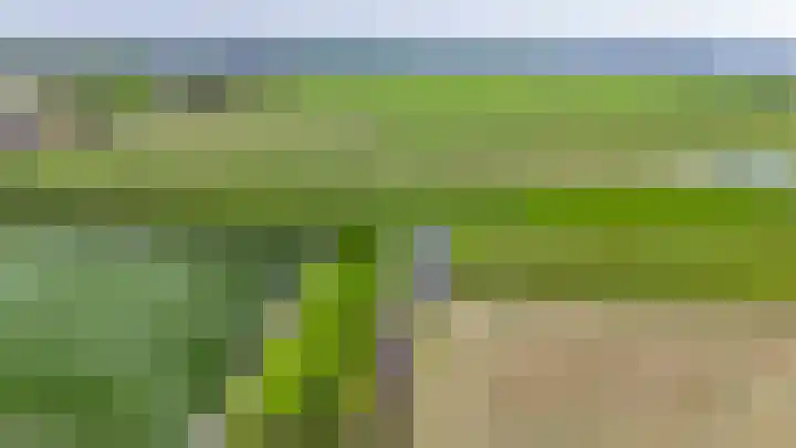 Kaagjesland 45 Reeuwijk thumbnail 43