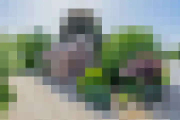 Kaagjesland 45 Reeuwijk thumbnail 52