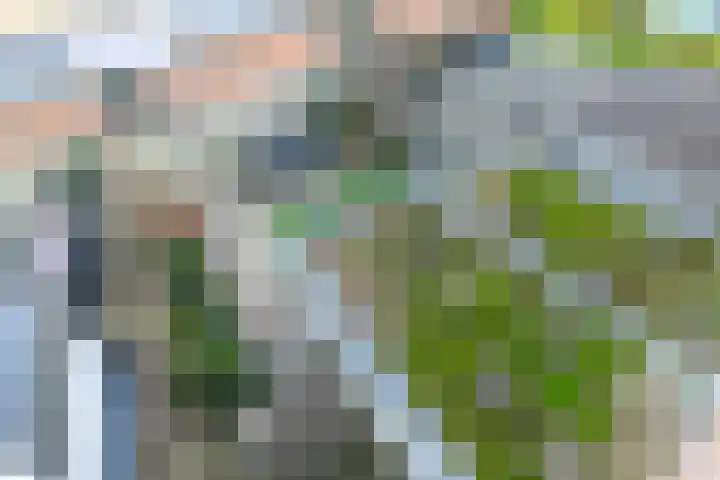 Kaagjesland 46 Reeuwijk thumbnail 33
