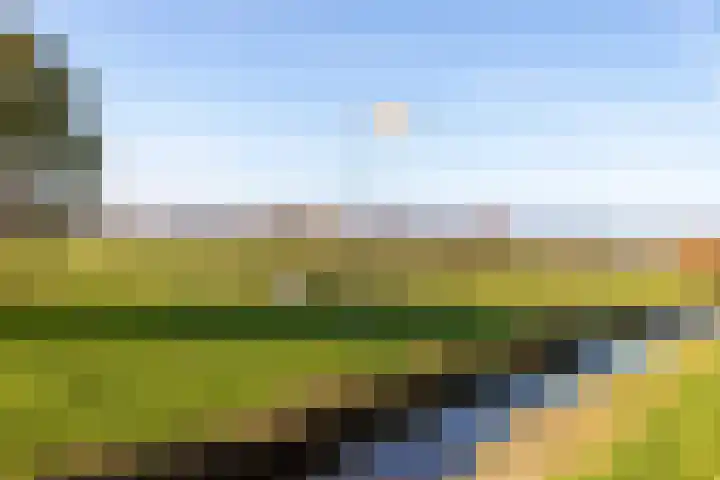 Kaagjesland 46 Reeuwijk thumbnail 44