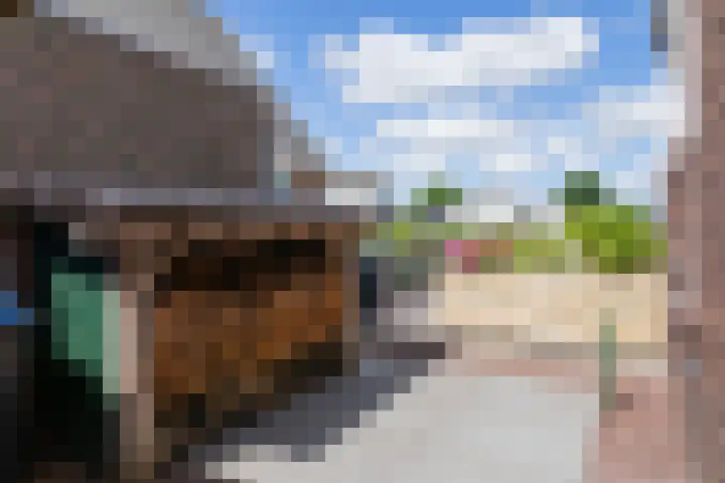 Kaagjesland 53 Reeuwijk thumbnail 27