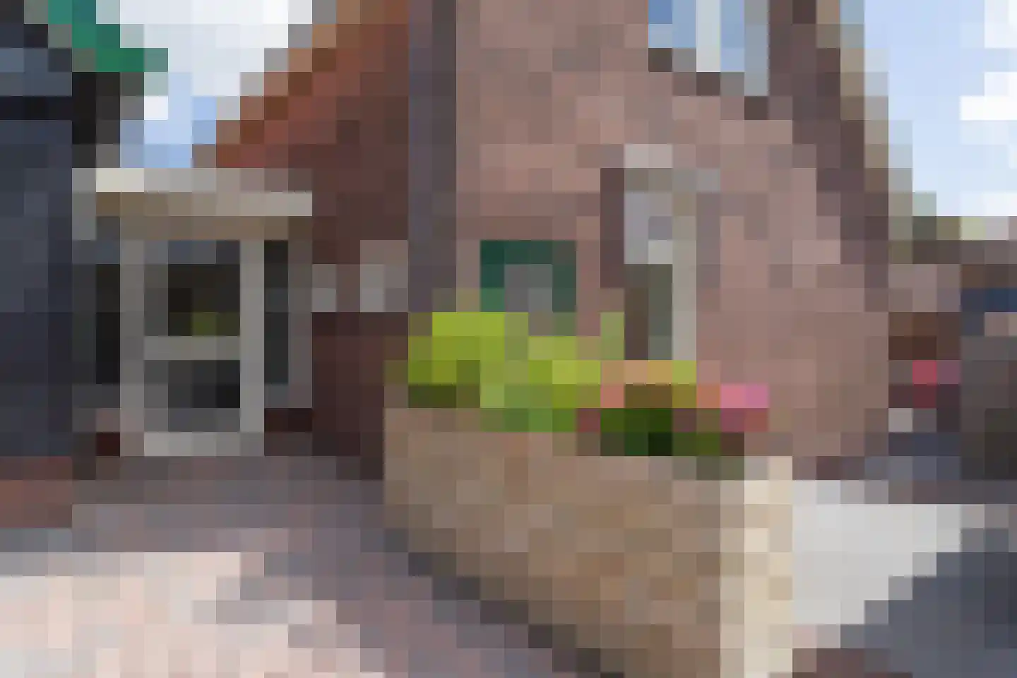 Kaagjesland 53 Reeuwijk thumbnail 30