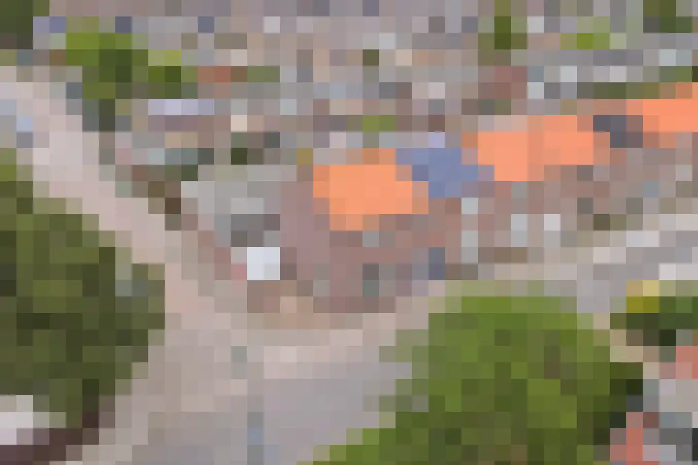 Kaagjesland 54 Reeuwijk thumbnail 29