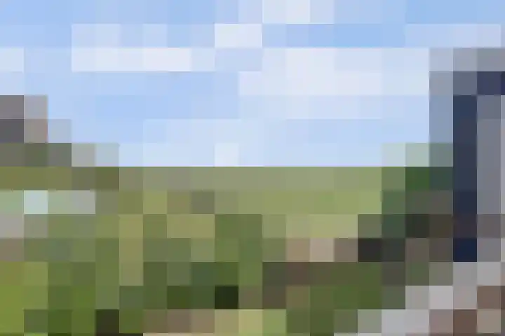 Kaagjesland 64 Reeuwijk thumbnail 37