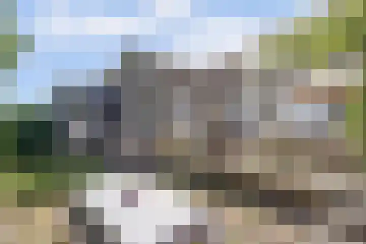Kaagjesland 64 Reeuwijk thumbnail 38