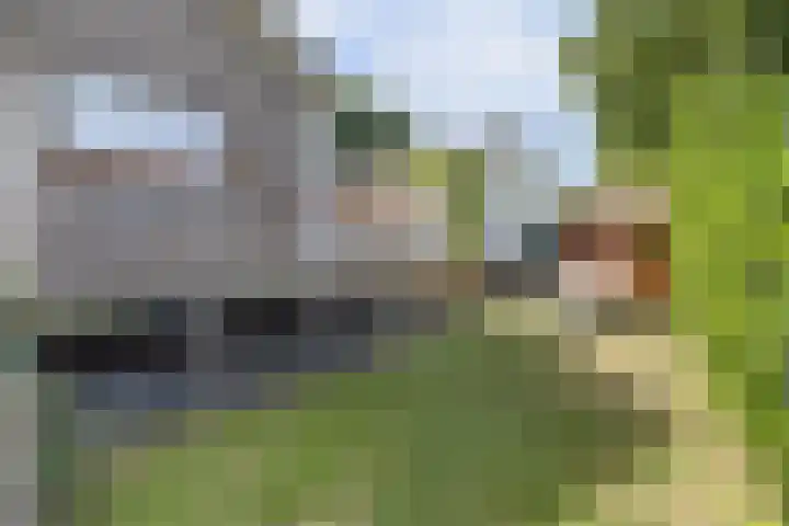 Kaagjesland 64 Reeuwijk thumbnail 39
