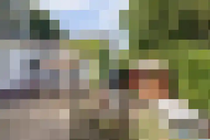 Kaagjesland 64 Reeuwijk thumbnail 41