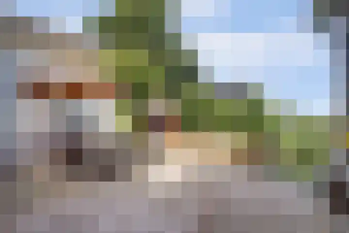 Kaagjesland 64 Reeuwijk thumbnail 42
