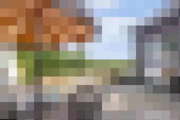 Kaagjesland 64 Reeuwijk thumbnail 43
