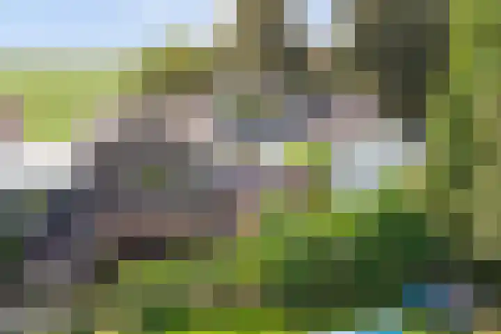Kaagjesland 64 Reeuwijk thumbnail 44
