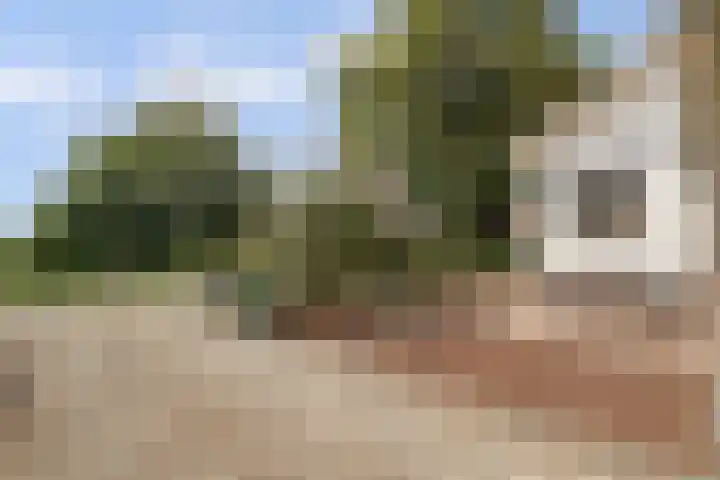 Kaagjesland 64 Reeuwijk thumbnail 45