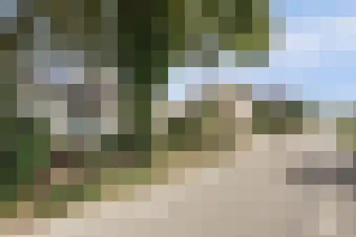Kaagjesland 64 Reeuwijk thumbnail 47