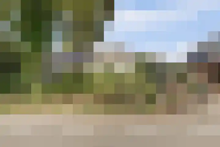Kaagjesland 64 Reeuwijk thumbnail 5