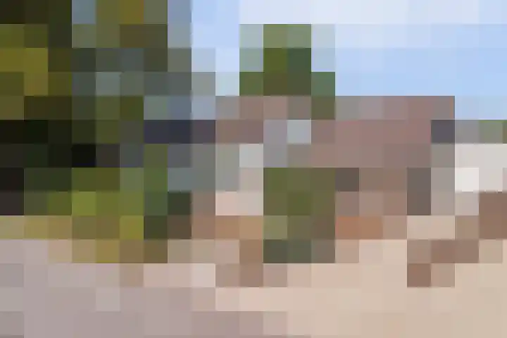 Kaagjesland 64 Reeuwijk thumbnail 53