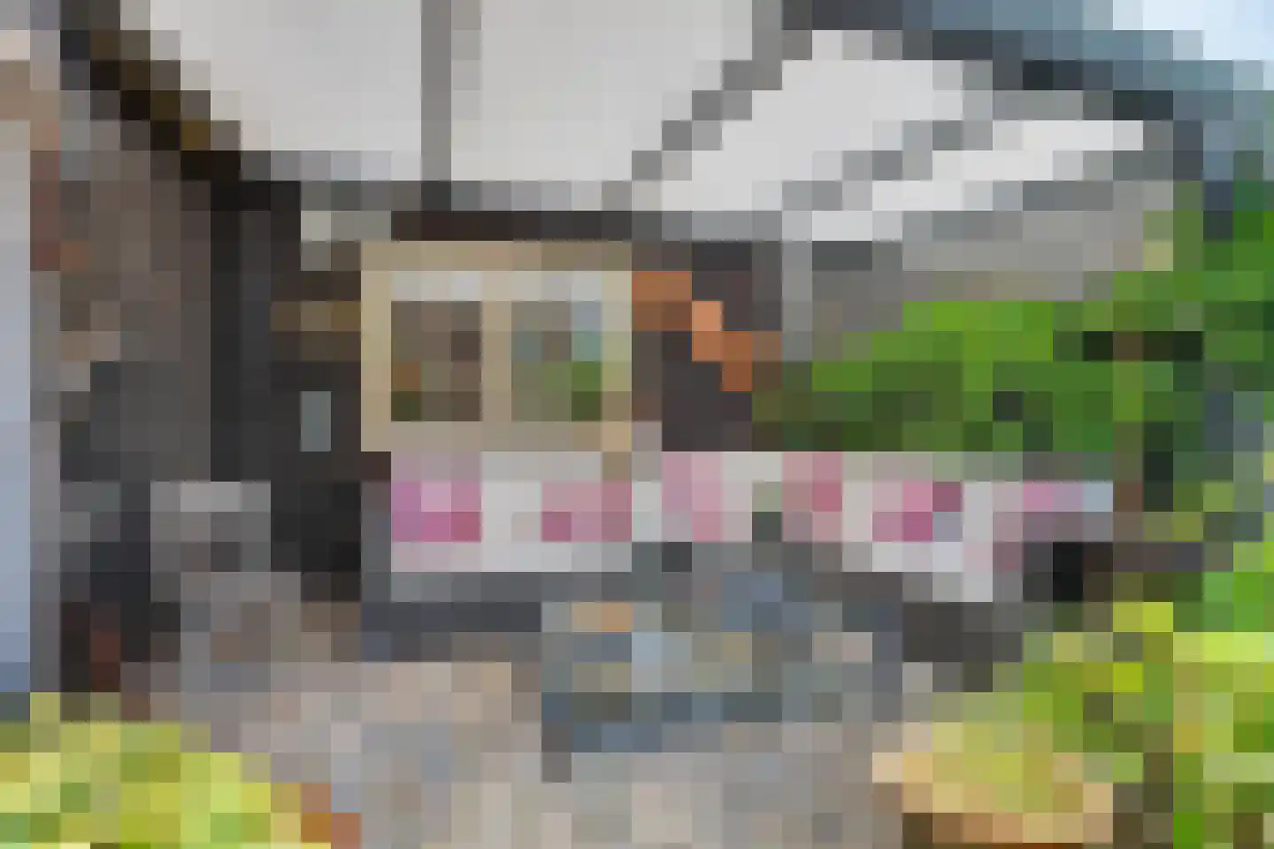Kaagjesland 78 Reeuwijk thumbnail 25