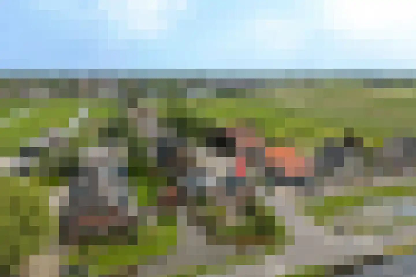 Kaagjesland 78 Reeuwijk thumbnail 32