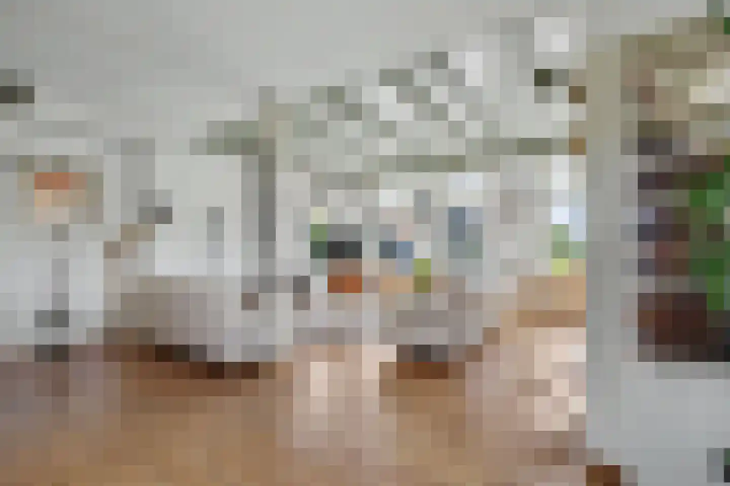 Kaagjesland 78 Reeuwijk thumbnail 5