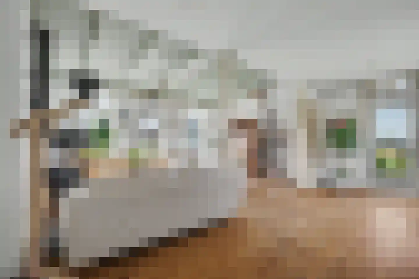 Kaagjesland 78 Reeuwijk thumbnail 6