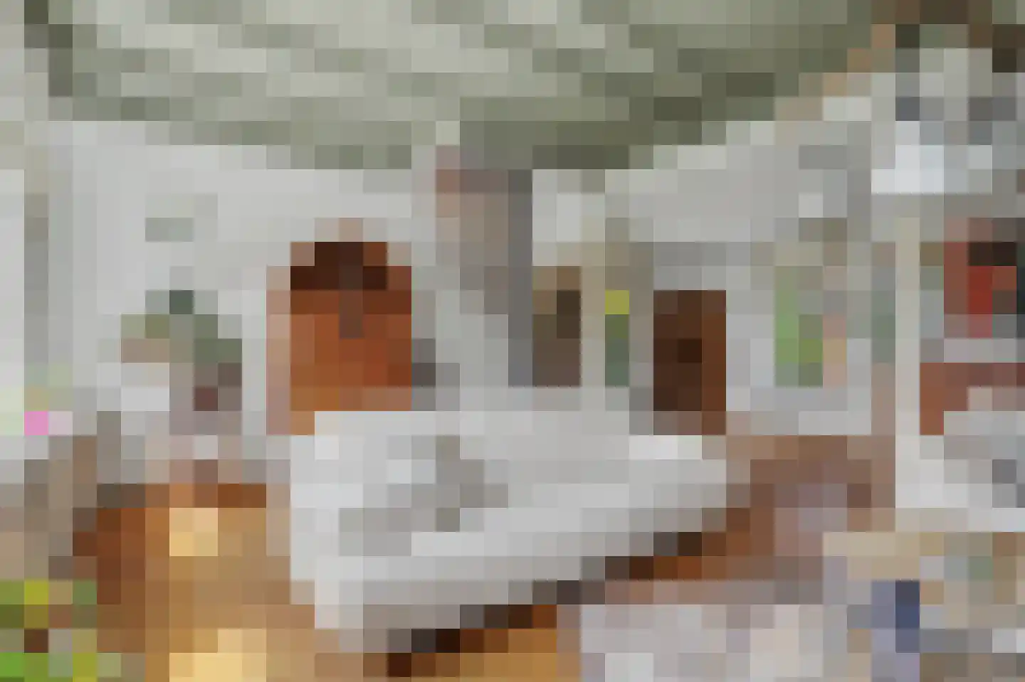 Kaagjesland 78 Reeuwijk thumbnail 8