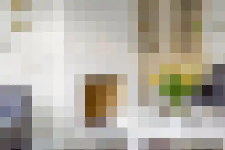 Kaagkade 69 Zoetermeer thumbnail 10