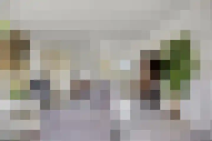 Kaagkade 69 Zoetermeer thumbnail 11