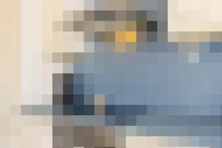 Kaagkade 69 Zoetermeer thumbnail 13
