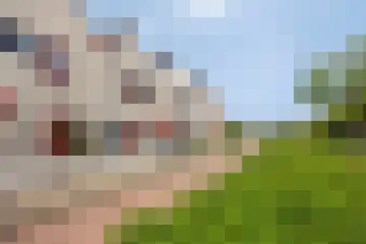 Kaagkade 69 Zoetermeer thumbnail 14