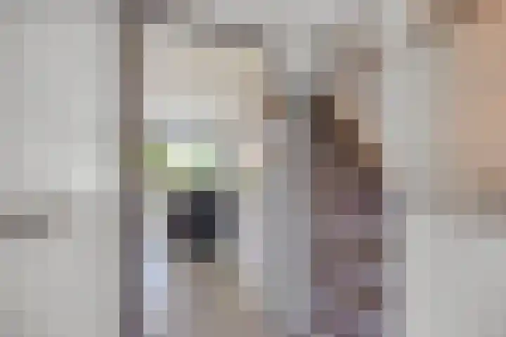 Kaagkade 69 Zoetermeer thumbnail 17