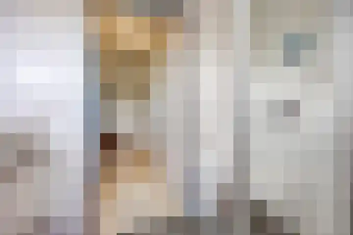 Kaagkade 69 Zoetermeer thumbnail 23