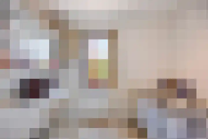 Kaagkade 69 Zoetermeer thumbnail 25