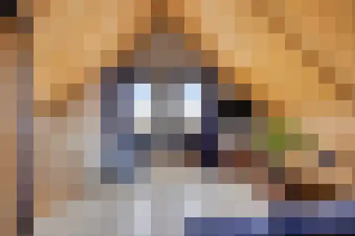 Kaagkade 69 Zoetermeer thumbnail 27