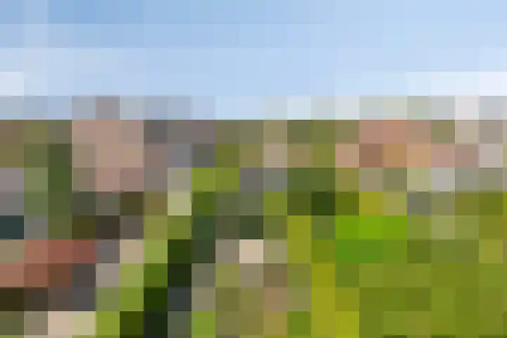Kaagkade 69 Zoetermeer thumbnail 32