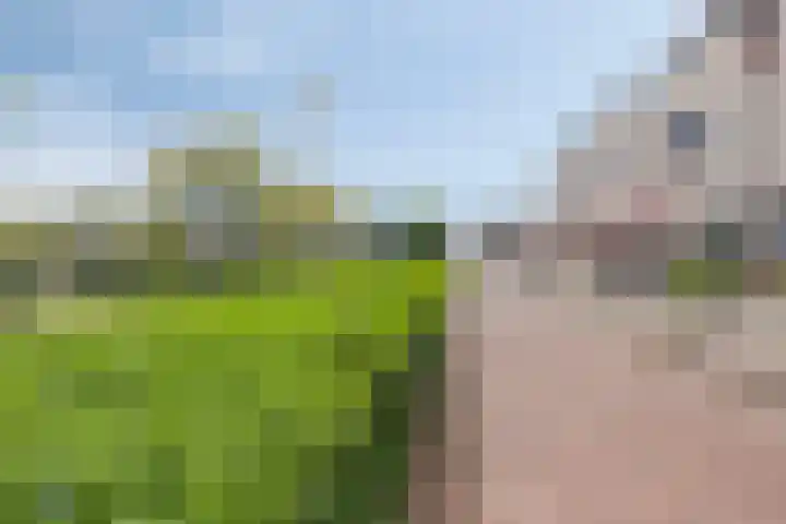 Kaagkade 69 Zoetermeer thumbnail 33