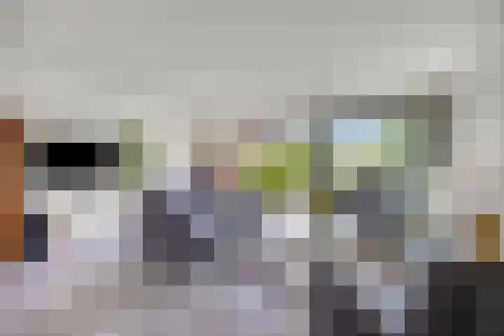 Kaagkade 69 Zoetermeer thumbnail 6