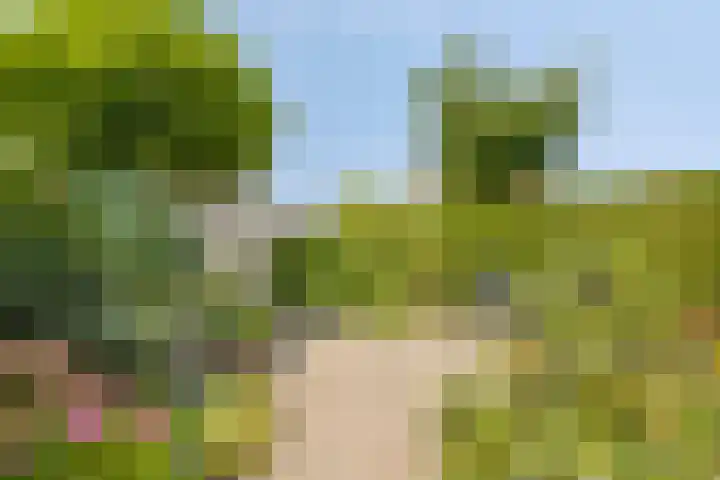 Kaagkade 69 Zoetermeer thumbnail 8